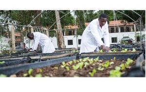 List of Colleges of Agric in Ghana