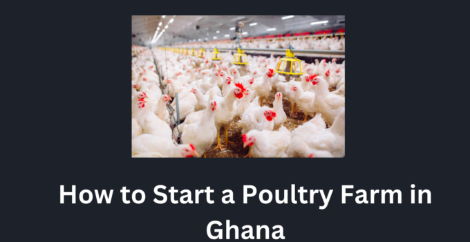 How to Start a Poultry Farm in Ghana
