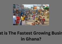 What is The Fastest Growing Business in Ghana?