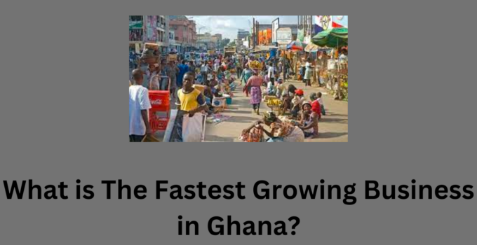 What is The Fastest Growing Business in Ghana?