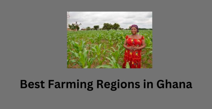 Best Farming Regions in Ghana