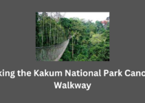 Hiking the Kakum National Park Canopy Walkway
