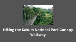 Hiking the Kakum National Park Canopy Walkway