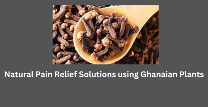 Natural Pain Relief Solutions using Ghanaian Plants